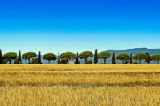 tuscany-motorcycle-tours-gallery-countryside-landscape-7